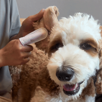 Ear Finger Wipes for Dogs