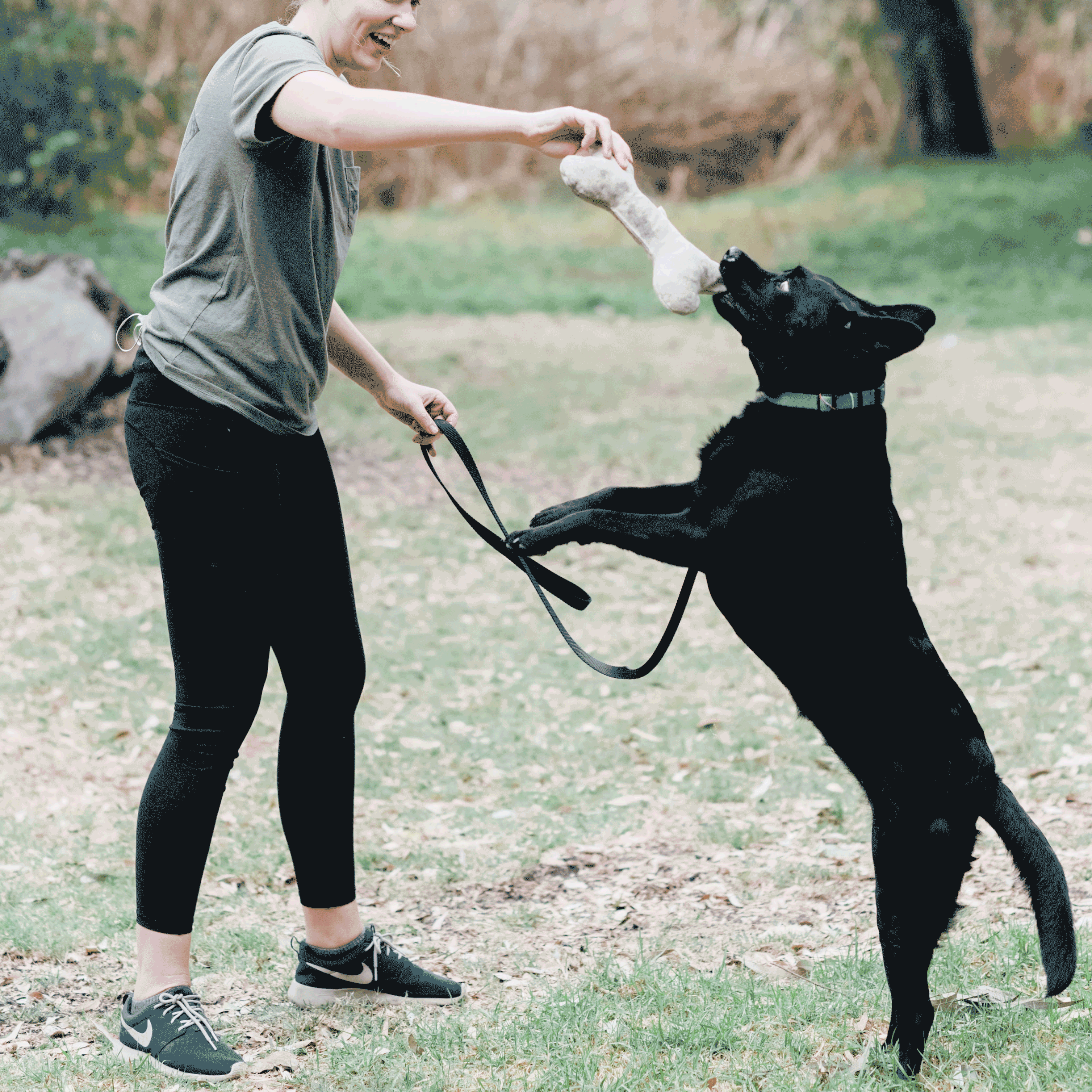 Hemp Bone for Dogs
